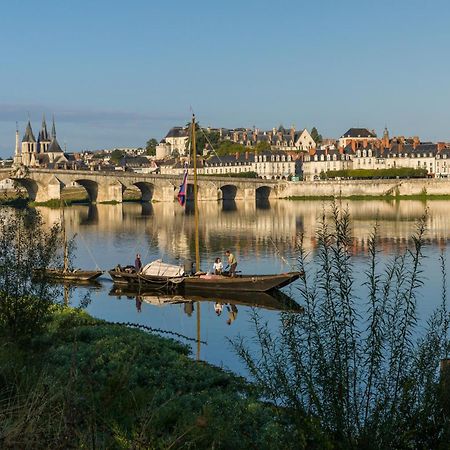 Le Wilson - Vue Imprenable Sur La Loire Et Le Chateau De Blois Buitenkant foto