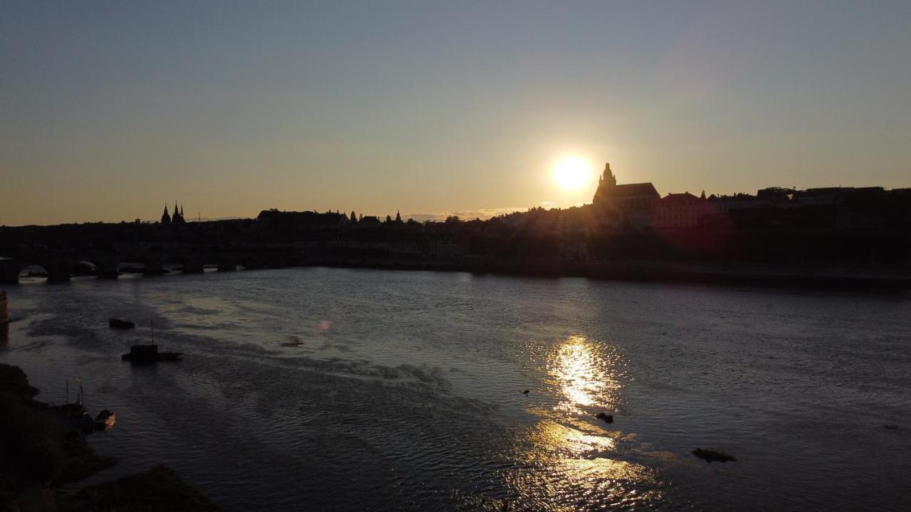 Le Wilson - Vue Imprenable Sur La Loire Et Le Chateau De Blois Buitenkant foto